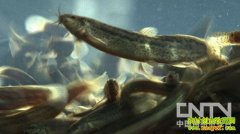 10��Ԫ��� �����Ϊ��ҵ��ͷ��(20121119)