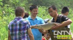 ��۲���ı���(20121120)