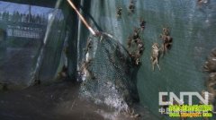 ���ӻ�ͷ��з��(20121121)