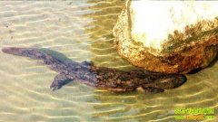 ��԰������������(20121122)