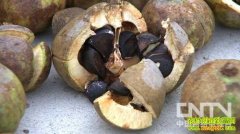 ���������Ĵ�������(20121123)