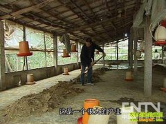 ����ӹ�׬Ǯ�𣺺�������̷ľ���ӹ�������������