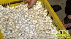 ����д���ýŸɻ���¸�����(20121127)