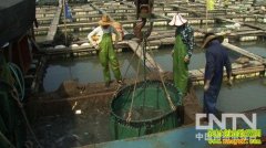 �󵨴��������ĲƸ�(20121128)