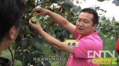 �����ٳɵĴ������(20121203)