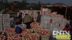 �ܿ�����زƸ���Ů��(20121204)