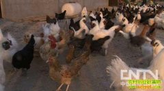 Ƿծ��Ұ��� ���޿�ش�֮��(20121205)