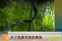 Ϊ�˵����絽�ĺ���(20121205)