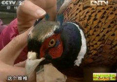 �޼��޳�ǧ���(20121204)