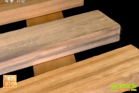 ��ɫʱ�մ�ҵ