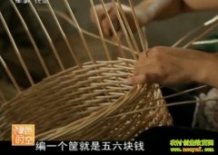 С�����������Ԫ����(20121202)