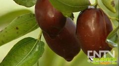 ��ȥ����Ա �����½����(20121206)