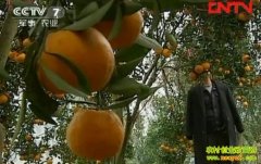 �ո��������������(20120202)