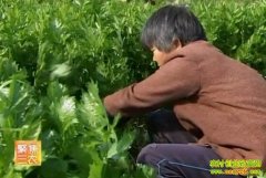 �۲˲�ҵ����(20121104)