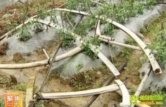 �۽�ũҵ��ֲ����(20121028)