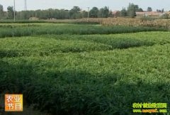 ɽ�������г�����(20121018)