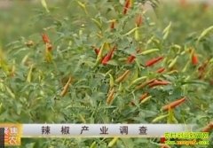 ������ҵ����(20121106)