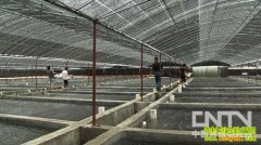 һ����ҵΣ�������ĲƸ�����(20121207)