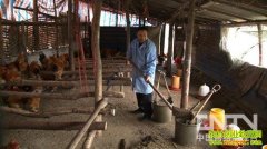 �Ӷ�ͽ���¸�����(20121214)