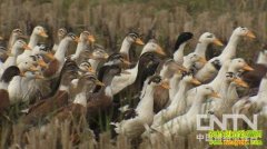 �������в�(20121217)