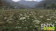 ��������Ȧ�� ׬Ǯ���ƾͼ�(20121218)