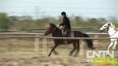 �ܾ�����8���ʲ��ı���(20121220)