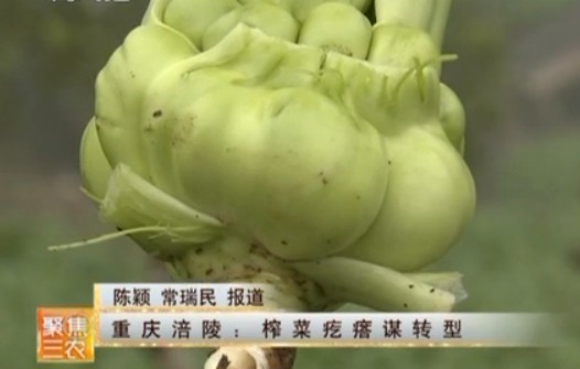 ���츢��:ե�˸���ıת��(20121220)