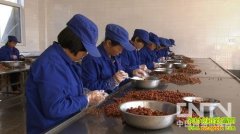 ��ƭ�ܹ�Ҳ� һ����ط���(20121221)