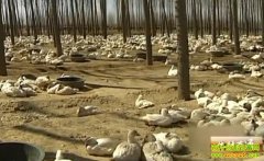 ����������Ǯ��ԧ��Ѽ��20121224��