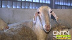 ���ת�к�ĲƸ�����(20121225)