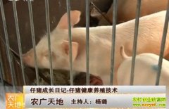 �����ɳ��ռ�-����������ֳ����(20121226)