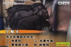 �ӡ����̡������� (20121226)