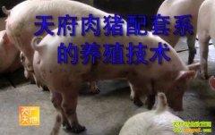 �츮��������ϵ����ֳ����(20121230)