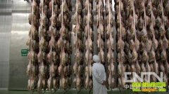 �澳���� ���鷳��Ƹ���20121231��