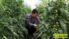 ���������ܼܰ�֮����(20130102)