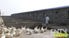 ǧ�����ܻ��統�����κ�(20130104)