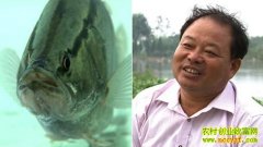 ����˫���غ�12��ĲƸ�(20130108)