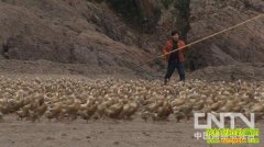 �����Ժ� ��Ѽ���º�(20130109)