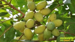 �������������(20130108)