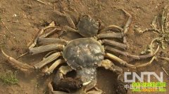 ���ϳ�������з֮��(20130110)