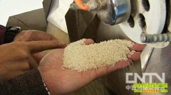 ���״����Ұ���(20130118)