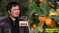 ��ǧԪ��� ���ܼ��ӡ������¸���ͷ��(20130124)