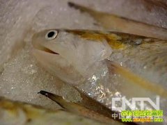 ��ҵ���˵ĲƸ�����(20130128)