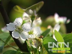 �����á�����������֮��(20130204)