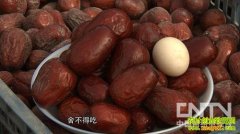 ��ȥ����Ա �����½����(20130206)