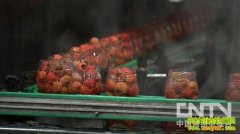 ƿƿ�޹�����̻�(20130207)