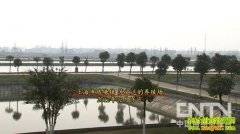 ��ľ�괺���������(20130208)