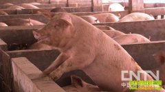 ���ܿ�������֮����������(20130301)