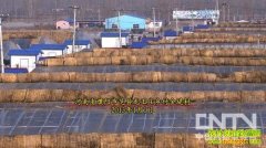 �Ŀ�״Ԫ�����ֲ�����������(20130304)