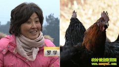 ũ��Ů��������ĲƸ�����(20130306)